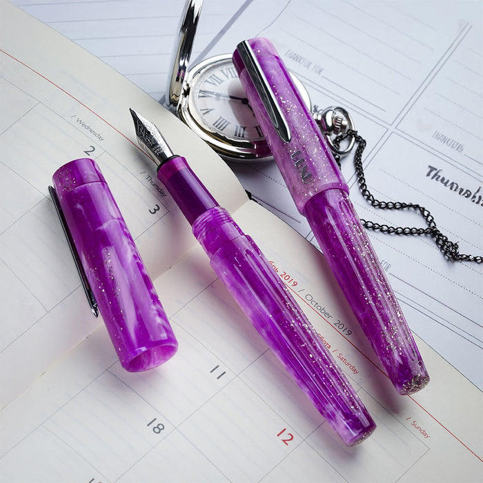 Benu DailyMate Fountain Pen Exciting Friday