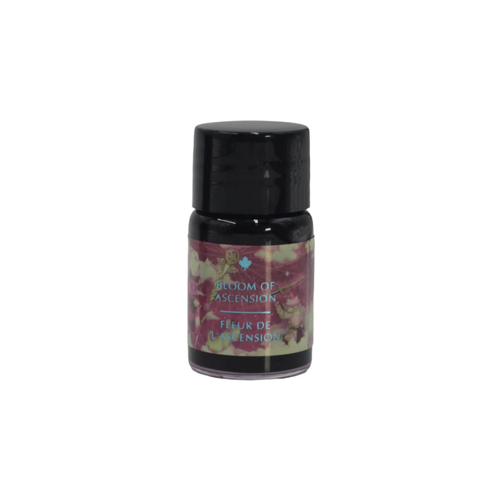 Ferris Wheel Press Ferritales Fountain Pen Ink 10ml Bloom of Ascension