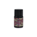 Ferris Wheel Press Ferritales Fountain Pen Ink 10ml Bloom of Ascension