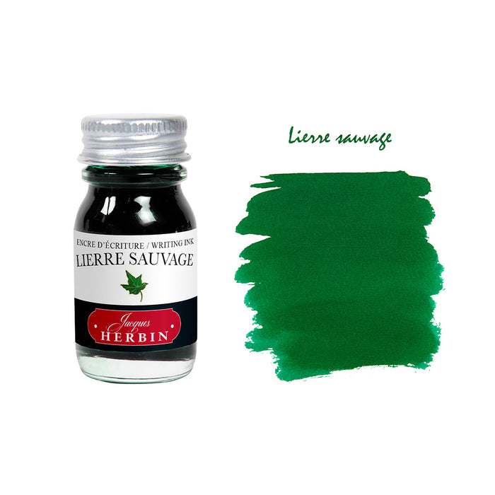 Lierre Sauvage - Wild Ivy