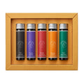 Jacques Herbin Essentials Ink Set of 5 Solaris by Herbin at Cult Pens