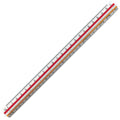 rotring Triangular Reduction Scales by rotring at Cult Pens