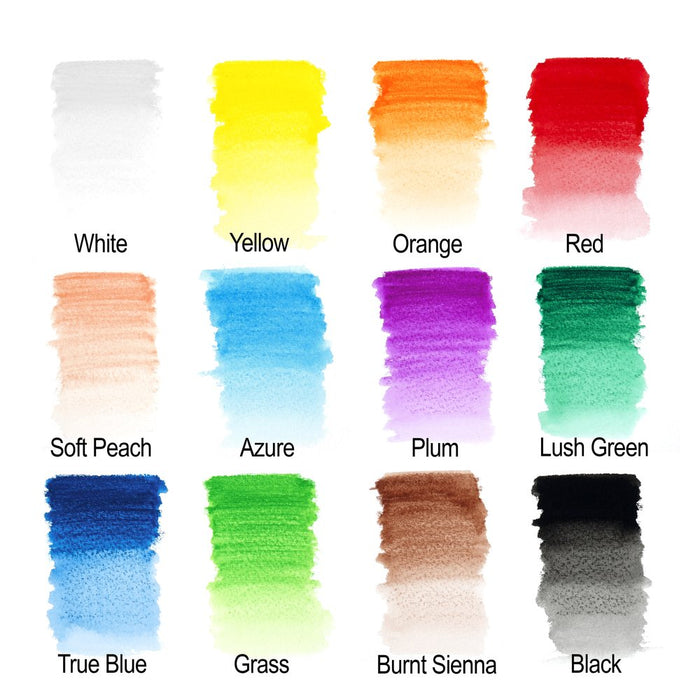 Winsor & Newton Studio Collection Watercolour Pencils Assorted Tin of 12